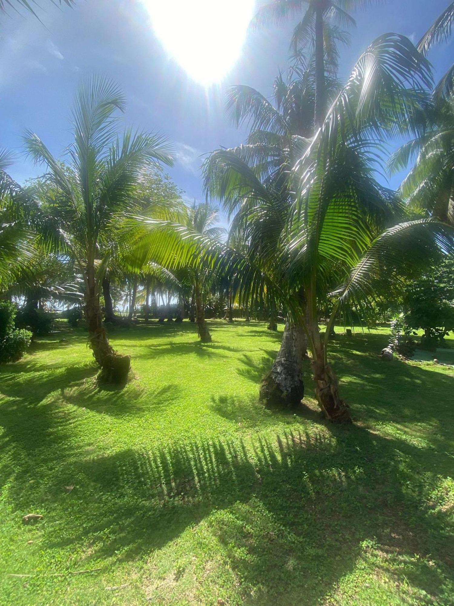 South End Villas - Apartamentos Paradisiaco En El Caribe Colombiano San Andrés Eksteriør billede
